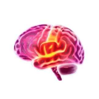 Visualisatie van neuromarketing in recruitment voor het brein