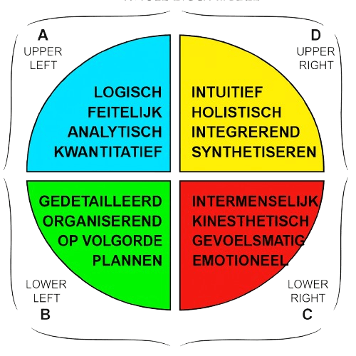 HBDI Whole Brain model vier kwadranten: analytisch blauw, gestructureerd groen, relationeel rood, creatief geel