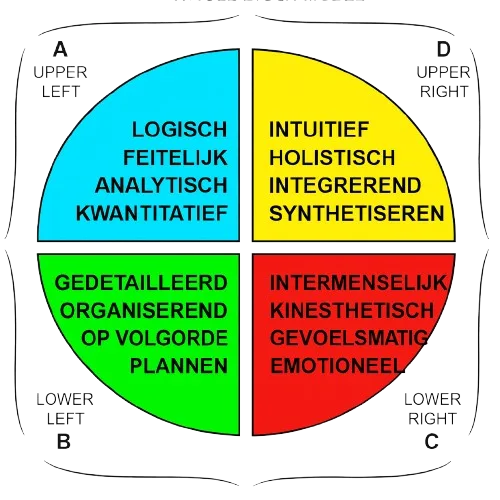 HBDI Whole Brain model vier kwadranten: analytisch blauw, gestructureerd groen, relationeel rood, creatief geel