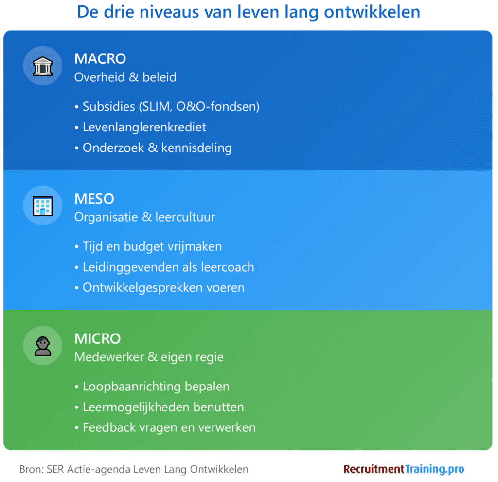 Infographic met de drie niveaus van leven lang ontwikkelen: macro (overheid met subsidies en beleid), meso (organisatie met leercultuur en leidinggevenden) en micro (medewerker met eigen regie en loopbaankeuzes).