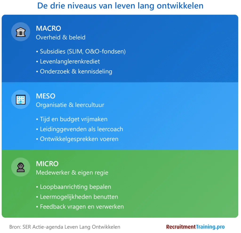 Infographic met de drie niveaus van leven lang ontwikkelen: macro (overheid met subsidies en beleid), meso (organisatie met leercultuur en leidinggevenden) en micro (medewerker met eigen regie en loopbaankeuzes).